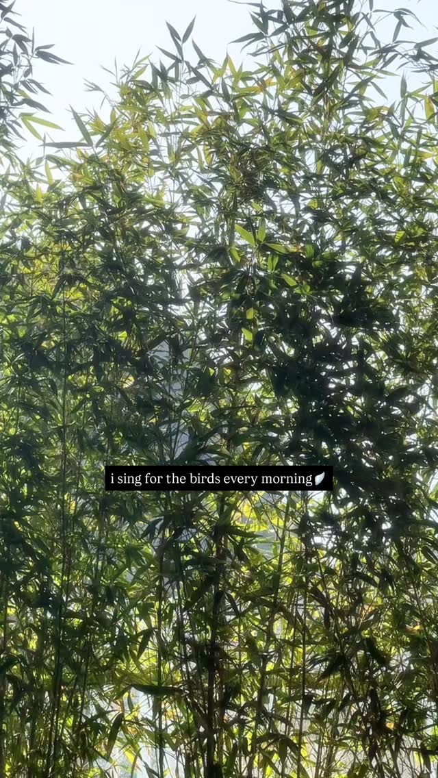 Locked content preview