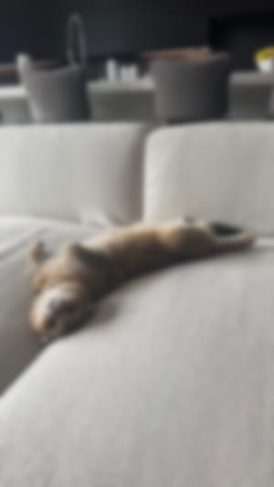 Locked content preview