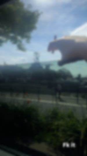 Locked content preview