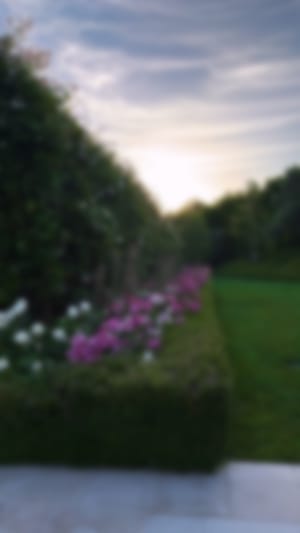 Locked content preview
