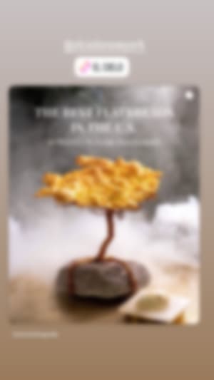 Locked content preview
