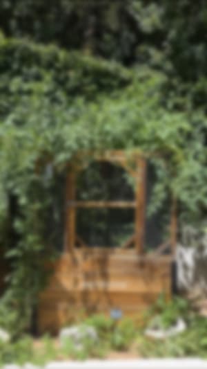 Locked content preview