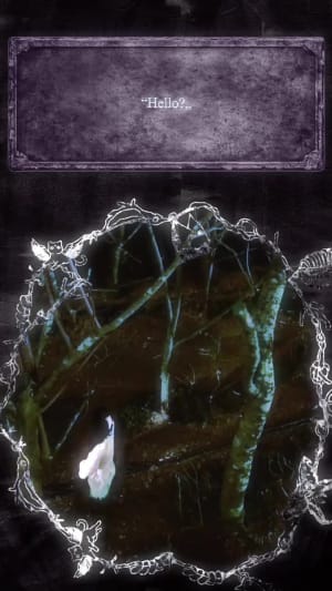 Locked content preview