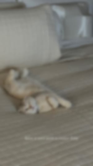 Locked content preview