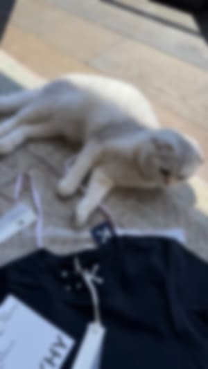 Locked content preview