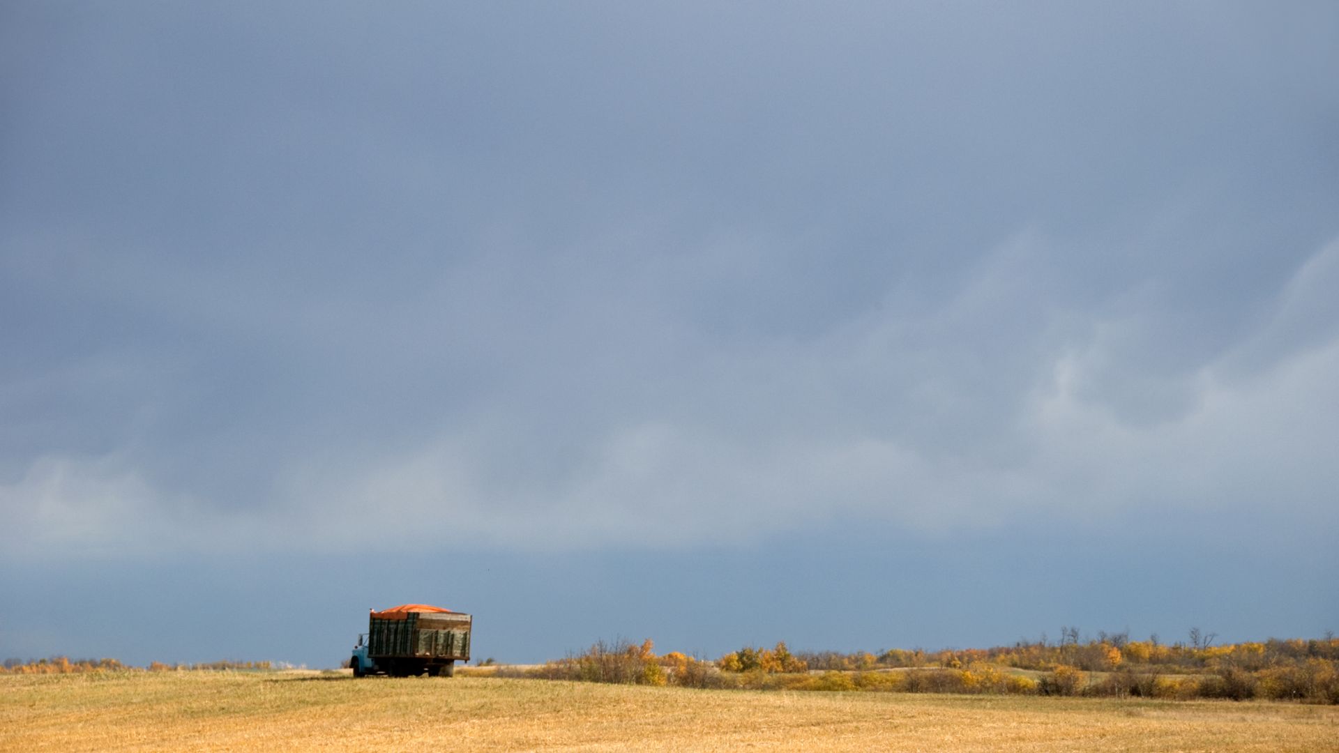 Ukraine Clears Nearly 340 More Hectares of Farmland