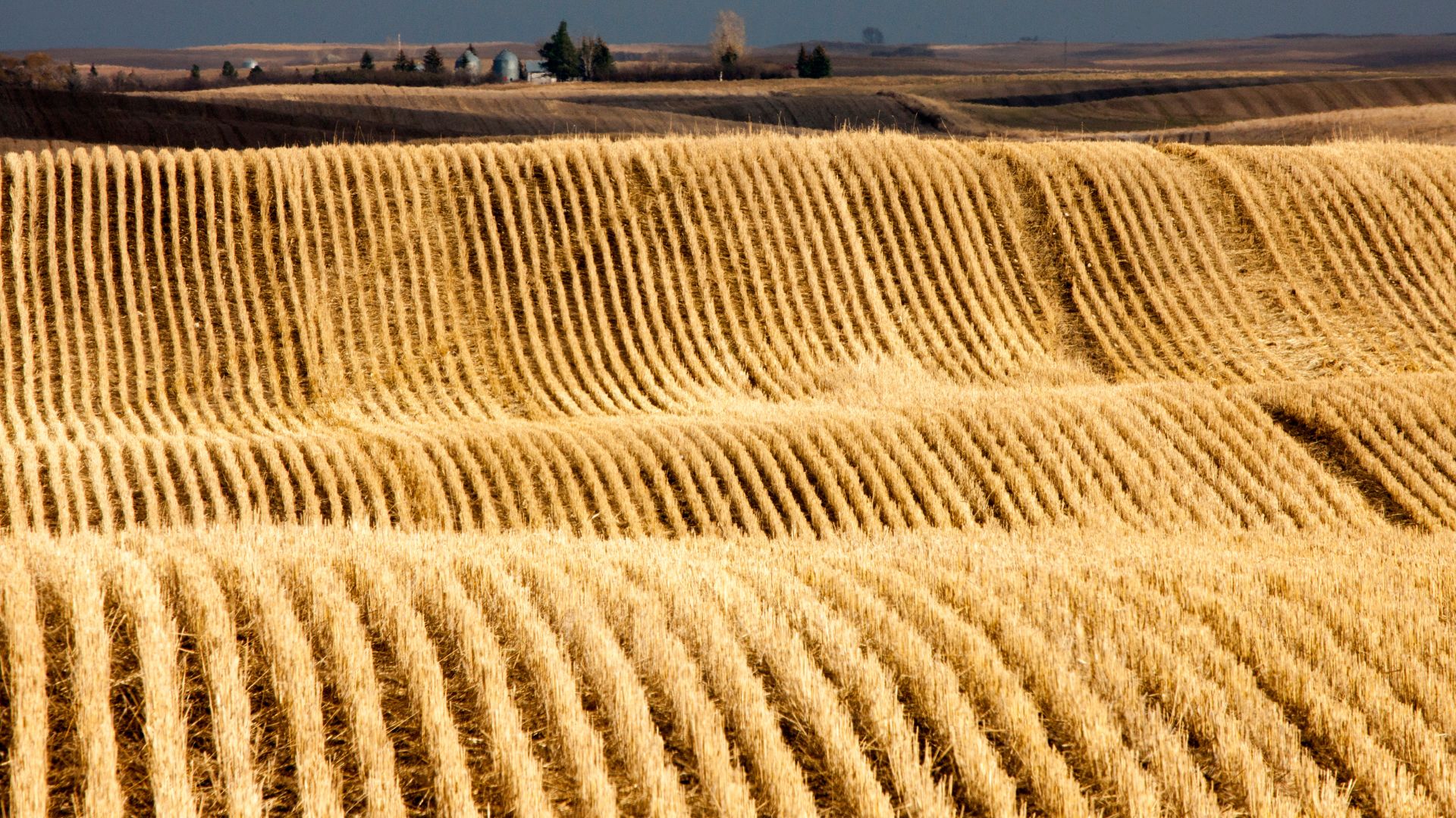 Harvest 2026 Gains Momentum