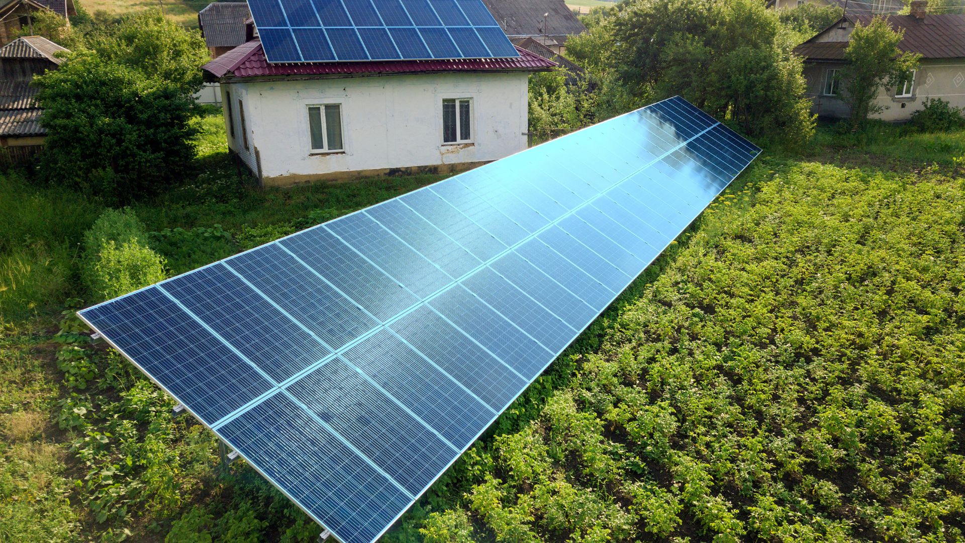Agribusiness Invests in Independent Power Generation
