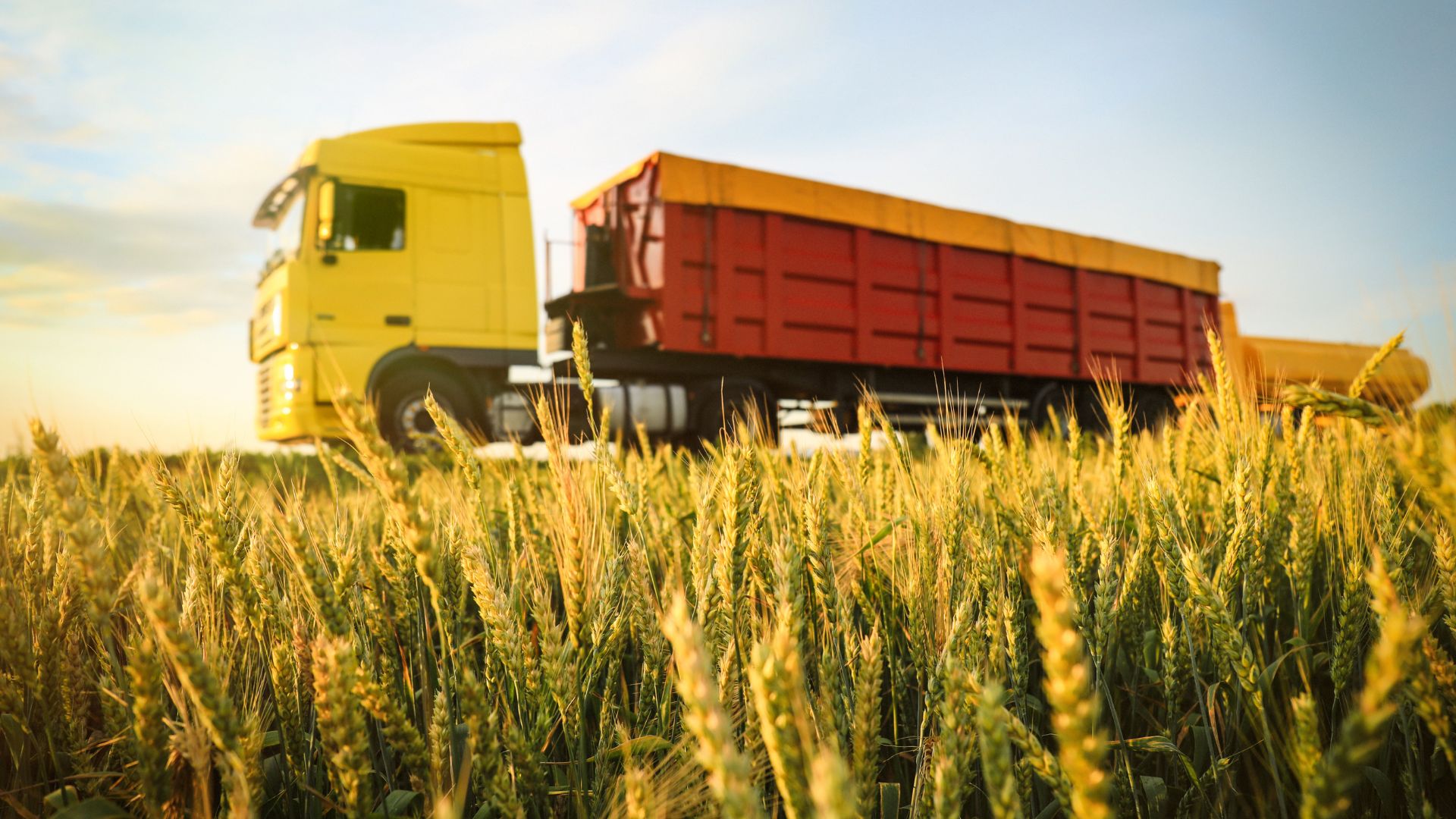 Grain Truck Shortages Drive Up Logistics Costs