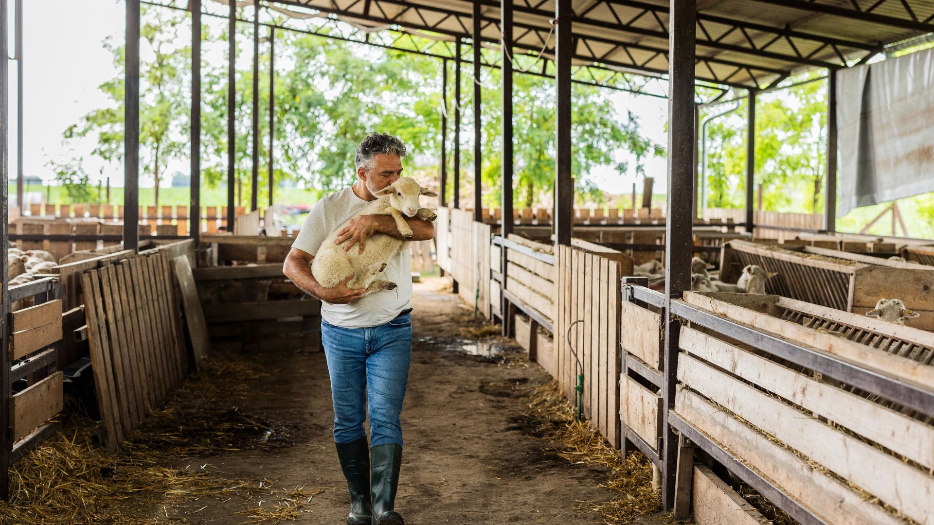 Ukraine Moves to EU Animal Welfare Standards