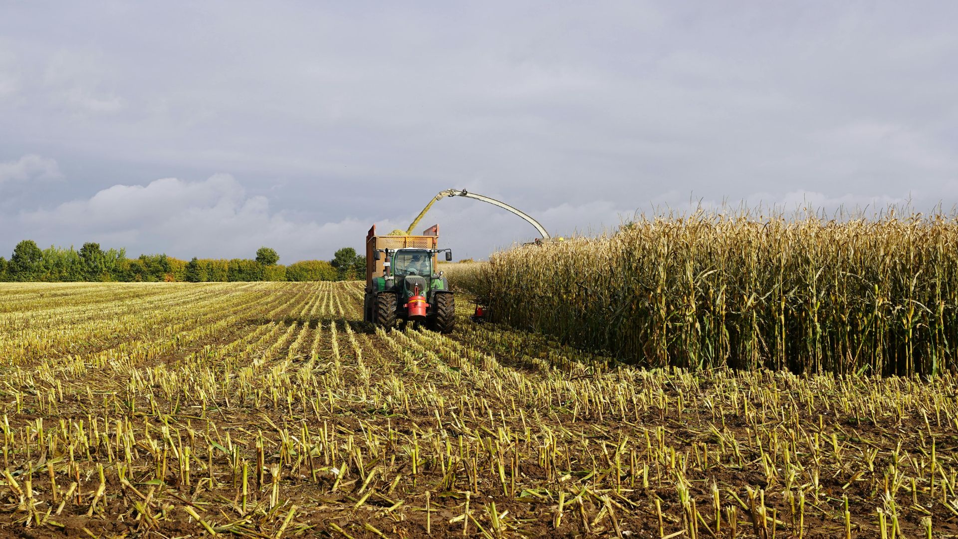 Ukraine Harvests Over 30.8 Million Tonnes of Grain