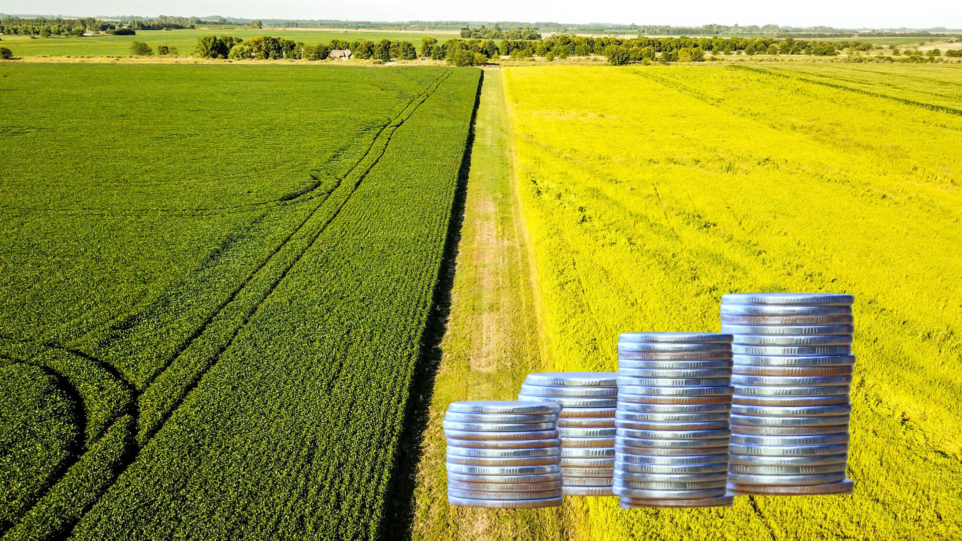 Crop Insurance Support