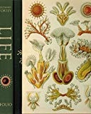 Life: A Natural History of the First Four Billion Years of Life on Earth
