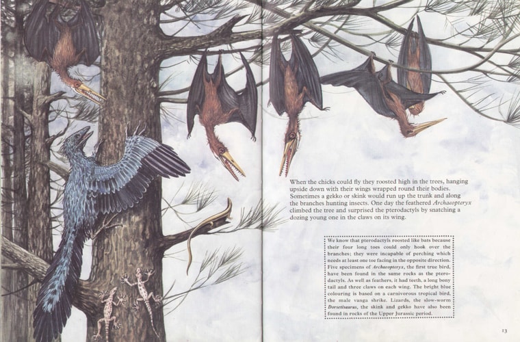 A Pterodactyl: The Story of a Flying Reptile