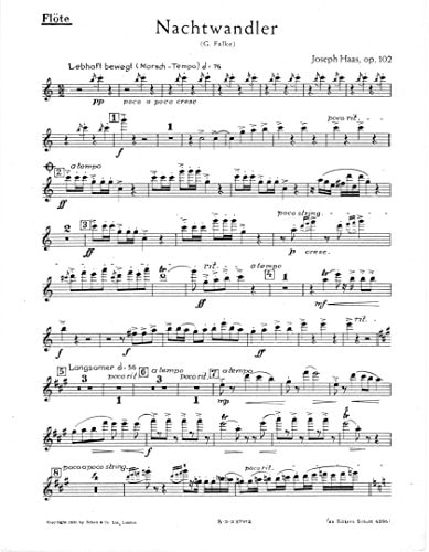NACHTWANDLER OP. 102 -ENSEMBLE DE PARTITIONS