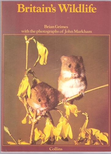 Britain's Wild Life