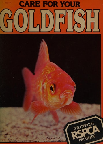 Care for Your Goldfish