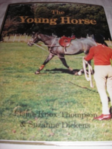 The Young Horse