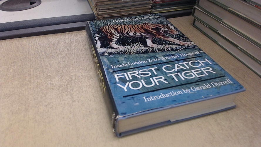 First catch your tiger