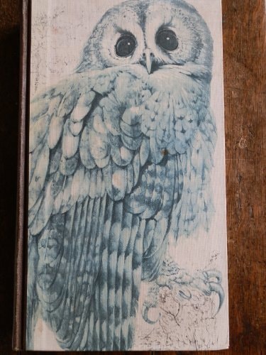 Book of British Birds