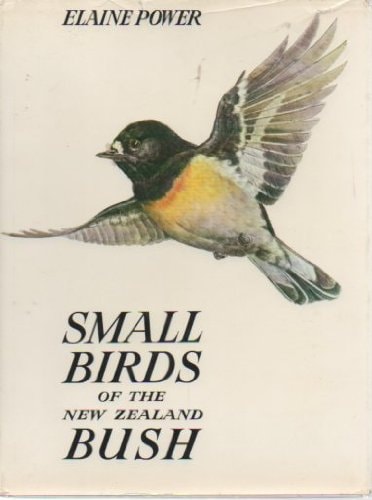 Small Birds of the New Zealand Bush