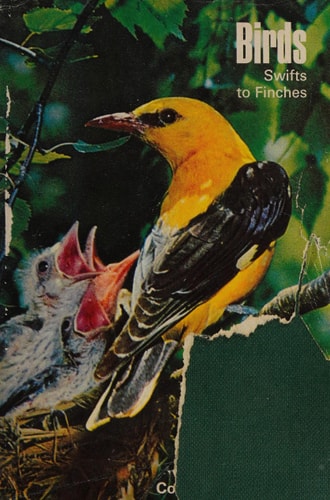 Birds: Swifts to Finches