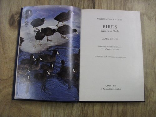 Birds: Divers to Owls