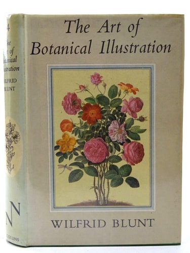 The Art of Botanical Illustration