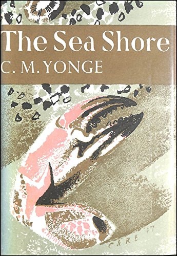 Seashore