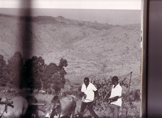The Book of Kenya
