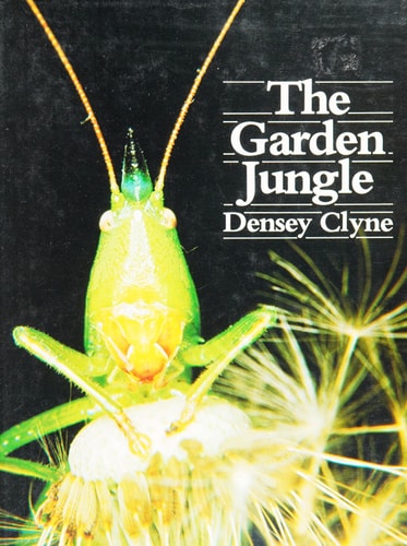 The Garden Jungle