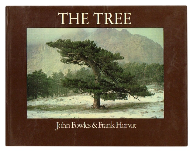 The Tree