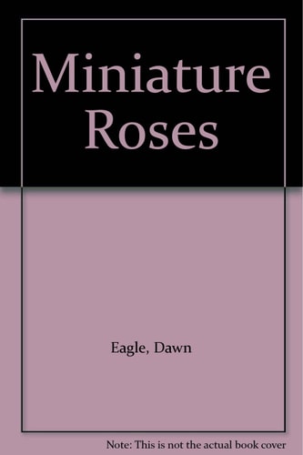 Miniature Roses