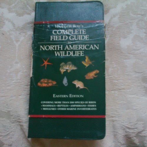 A Field Guide to the Birds of South East Asia