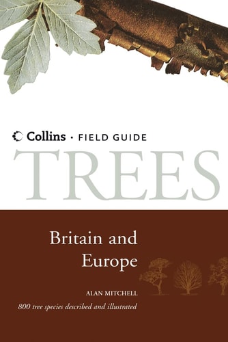 Trees: Britain and Europe