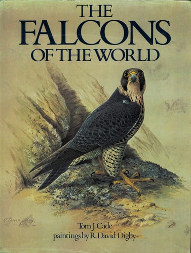 The Falcons of the World