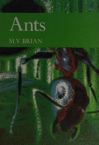 Ants