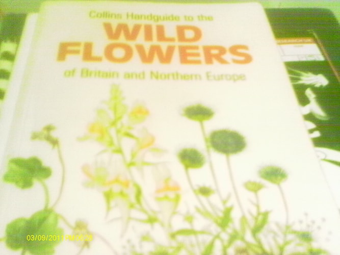 The Wildflowers of Britain and Europe