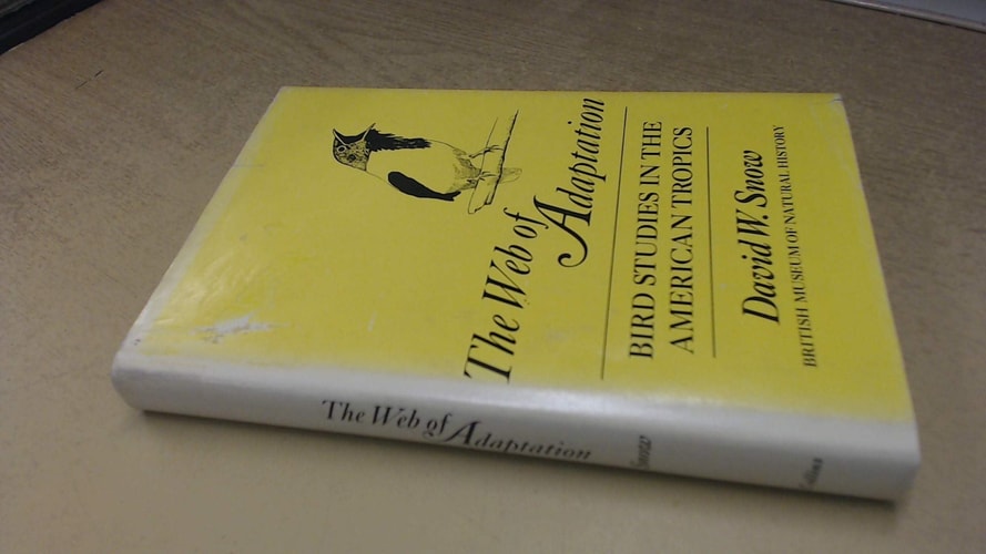 The Web of Adaptation