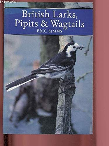 Larks, Pipits and Wagtails