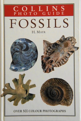 Collins Photo Guide to Fossils