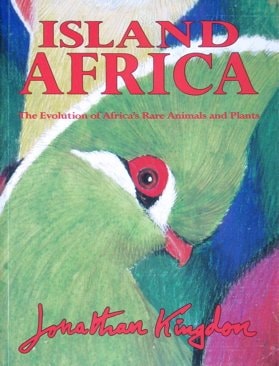 Island Africa