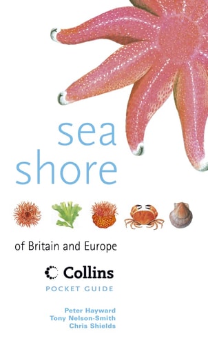 Sea Shore of Britain and Europe: Collins Pocket Guide