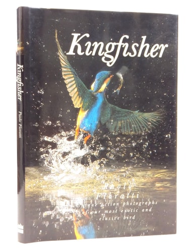 Kingfisher