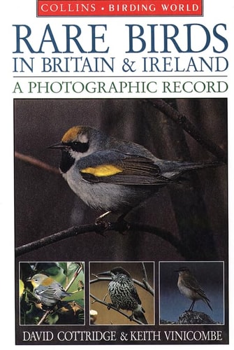 Rare Birds in Britain and Ireland A Photographic Record