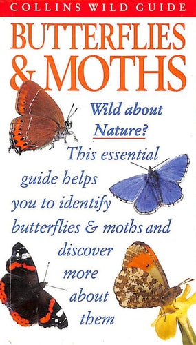 Butterflies & Moths of Britain and Europe