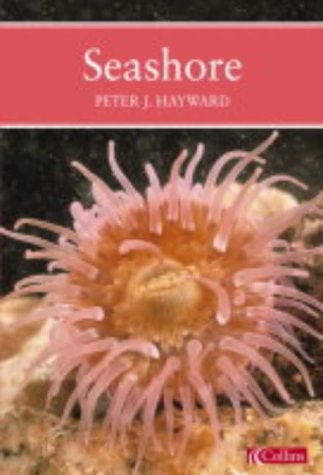 A Natural History of the Seashore