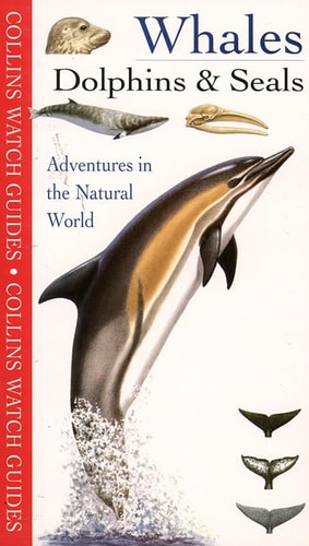Whales, Dolphins & Seals: Collins Watch Guide