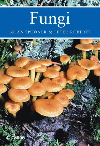 Fungi