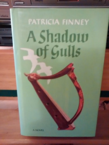A Shadow of Gulls